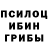 Галлюциногенные грибы Cubensis Mila Novitski