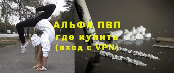 прущие крисы Богданович
