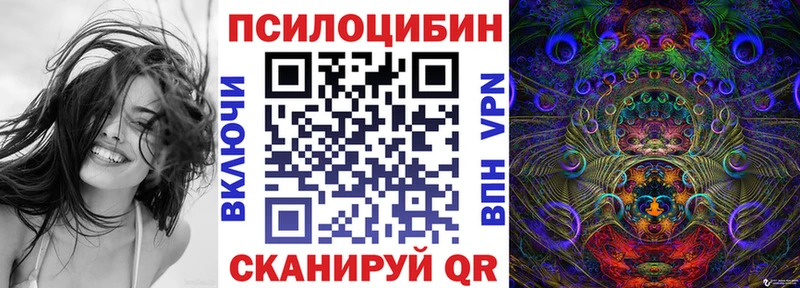 darknet наркотические препараты наркошоп Яровое Псилоцибиновые грибы Cubensis